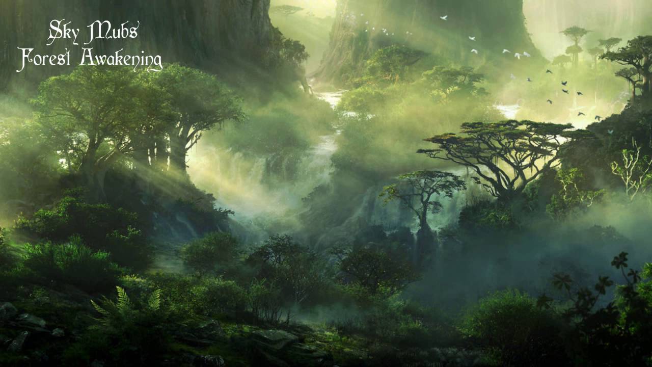 Sky Mubs - Forest Awakening [Chill]