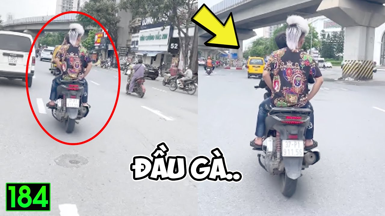 Hài Tin Việt 2025 Mới Nhất | Những Thằng Ngu Nhất Hành Tinh Cười Vỡ Bụng ( P184) ✔