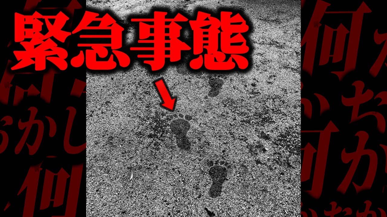 【閲覧注意】心臓の弱い方は見ないでください