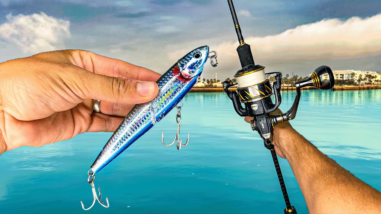 Casted This MEGA Lure Where GIANTS Live! *TOPWATER SNOOK FISHING*