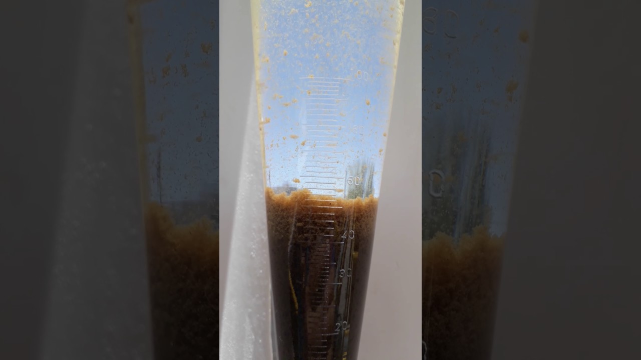 Sedimentación del lodo en tratamiento de aguas residuales -  LB Procesos Ambientales S.A. DE C.V.