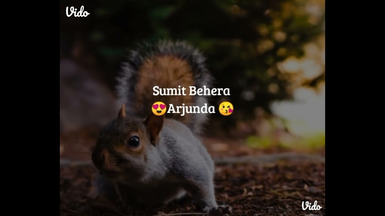 Sumit Babu vlogs. 😍🤩