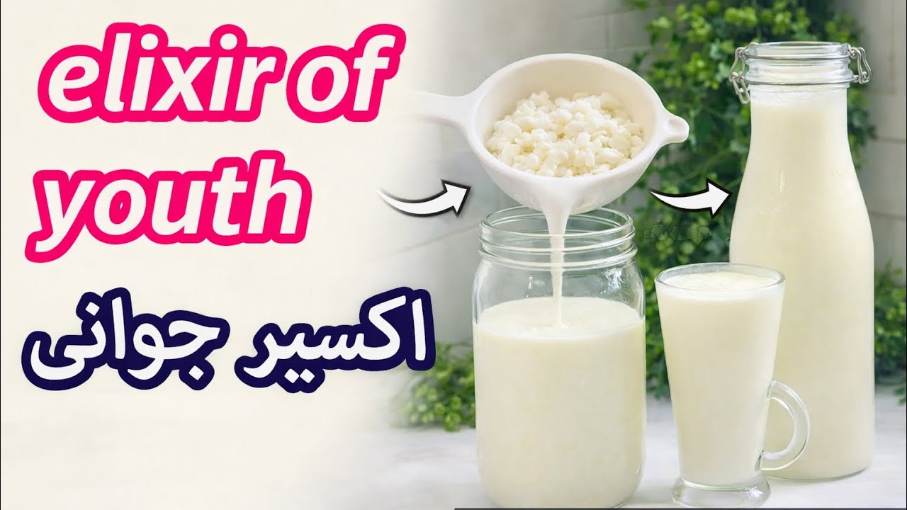 آموزش کامل تهیه کفیر در خانه |قدم به قدم با من بیا تا نوشیدنی پروبیوتیک درست کنی |Kafier#probiotics