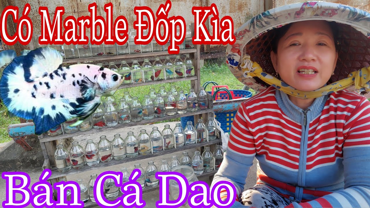 Bất Ngờ Phát Hiện Cô Bán Cá Dạo Có Marble Đot Vip Siêu Rẽ Luôn