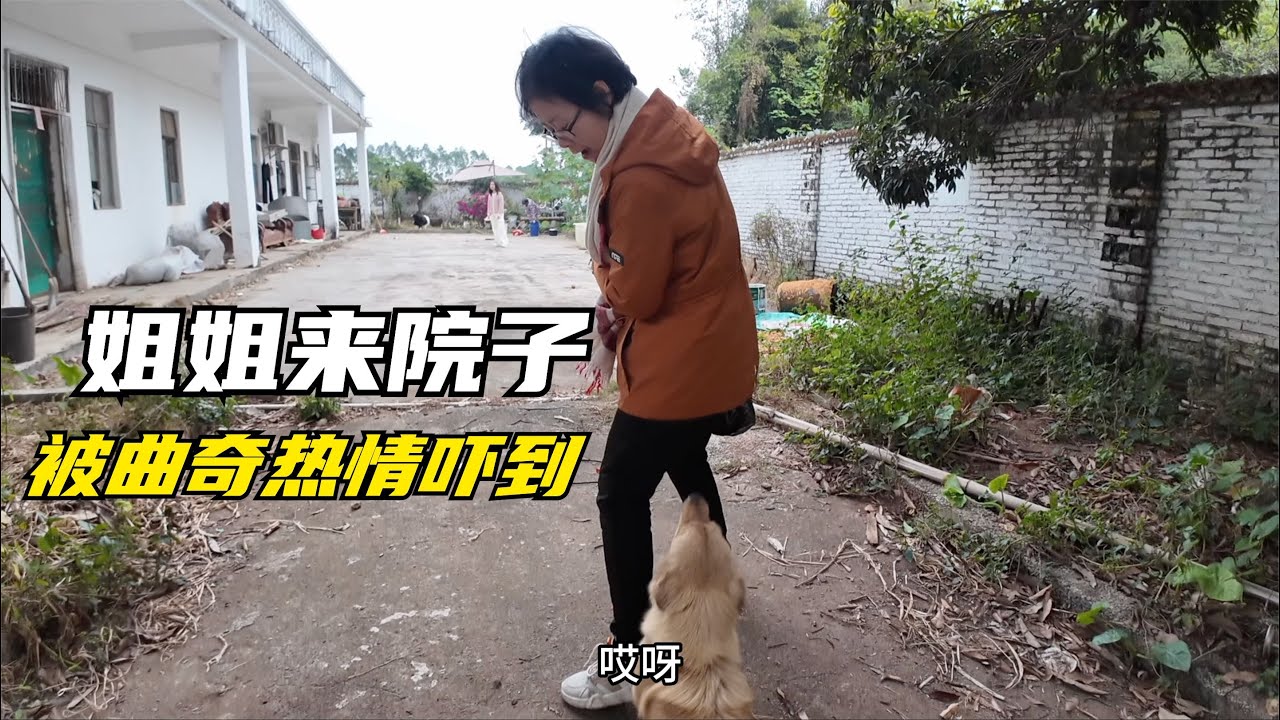 909Q：小秋假期好好陪伴家人，彪哥姐姐回来院子玩的乐，搞点小烧烤烤火
