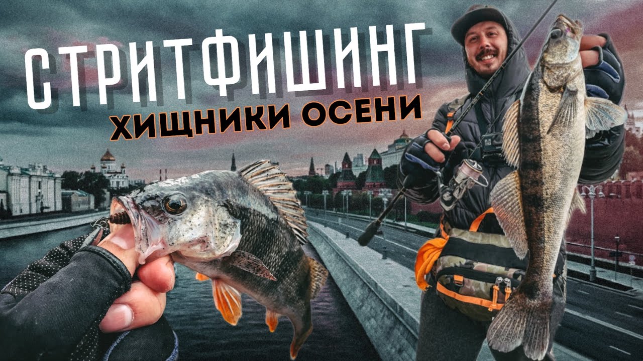 ХИЩНИКИ центра Москвы! СТРИТФИШИНГ. Осенняя рыбалка.