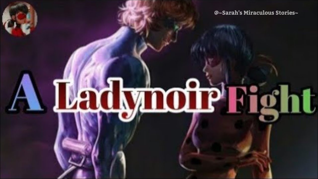 A ladynoir fight~one part story