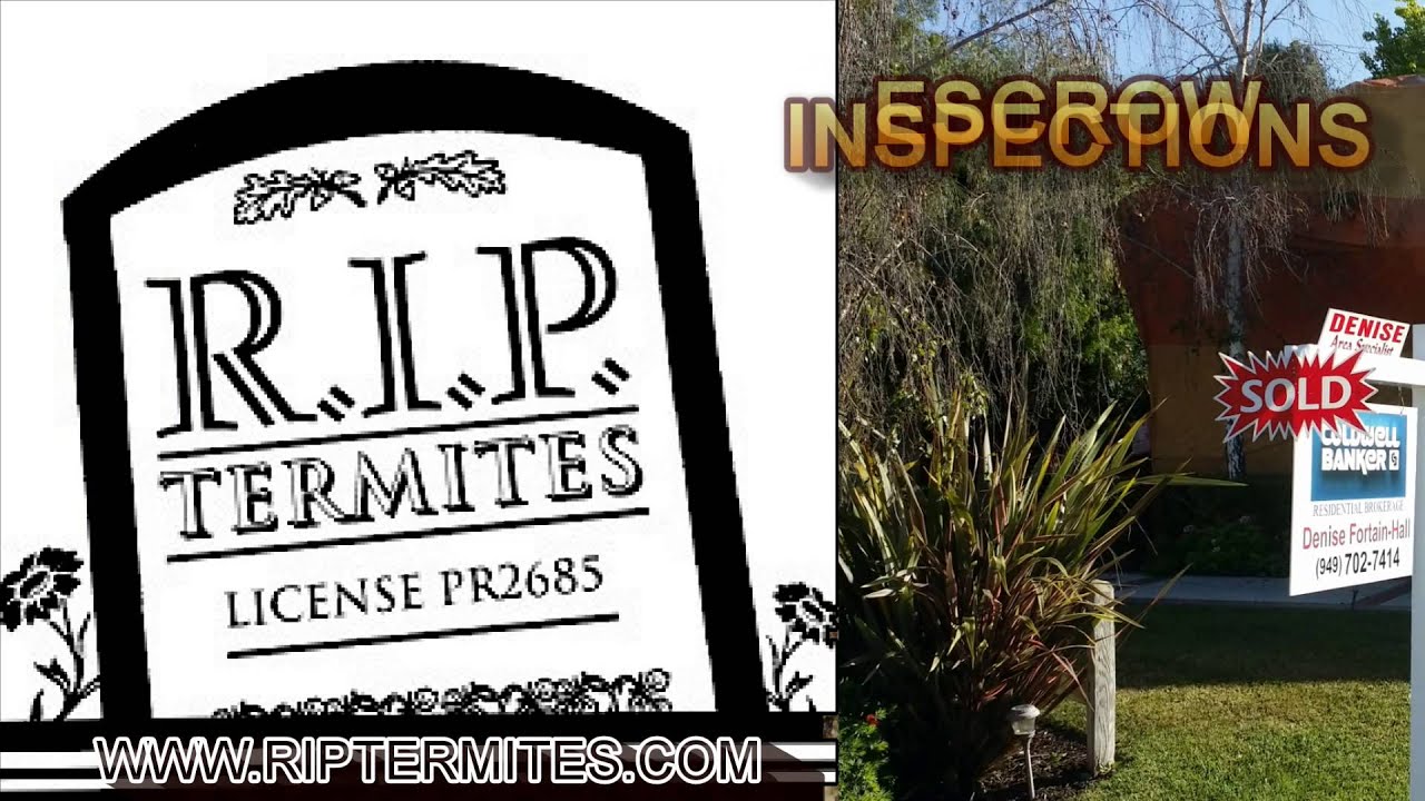 Termite Fumigation Costa Mesa Orange County, Escrow Inspections, Wood Repairs