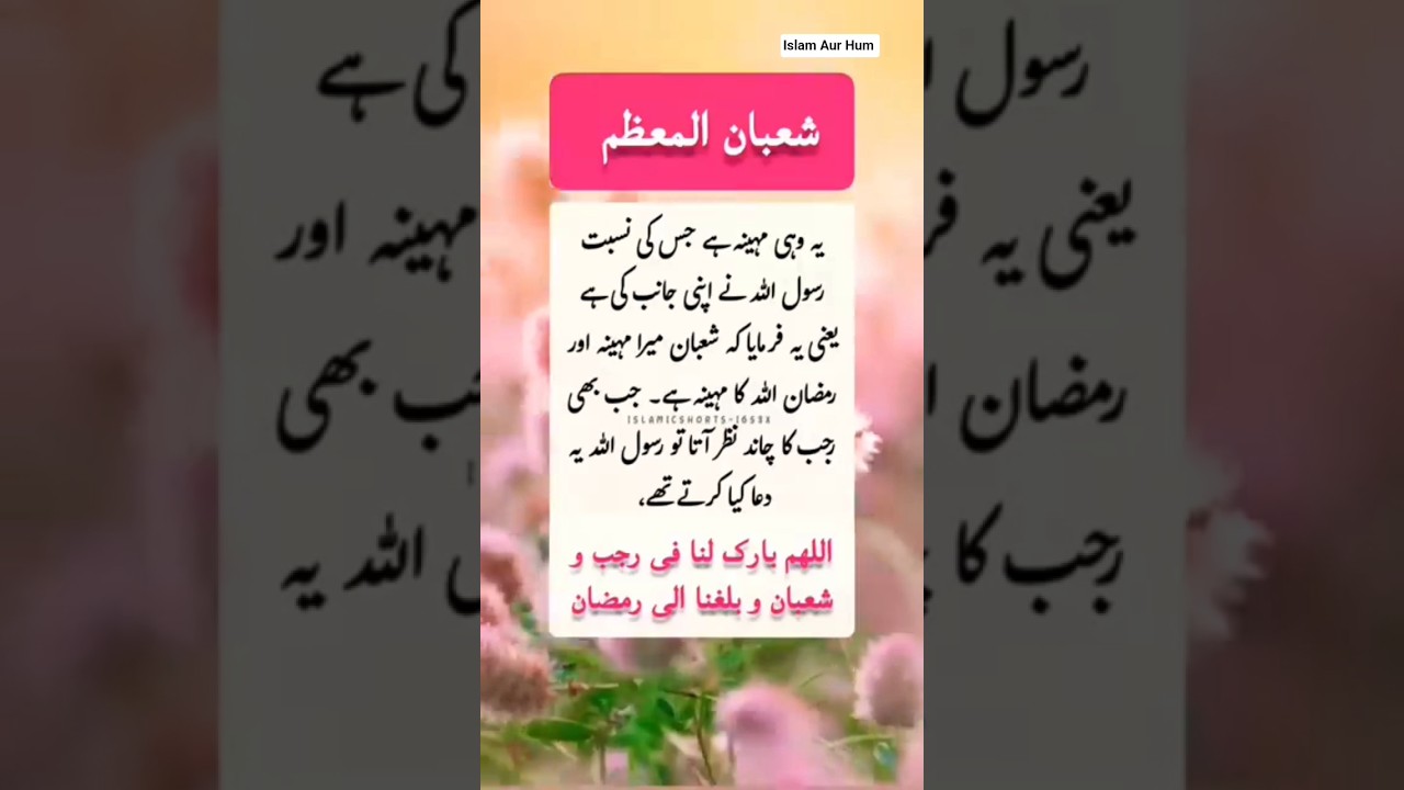Shaban ul Muazzam #islamicquotes #shortsfeed #hadessmubarak