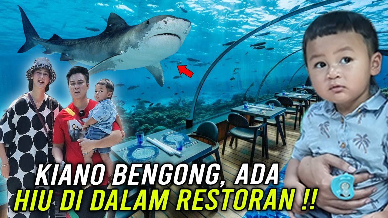 ADA HIU DI AQUARIUM BESAR ‼️ KEREN BANGET INI RESTAURANT MEWAH ...