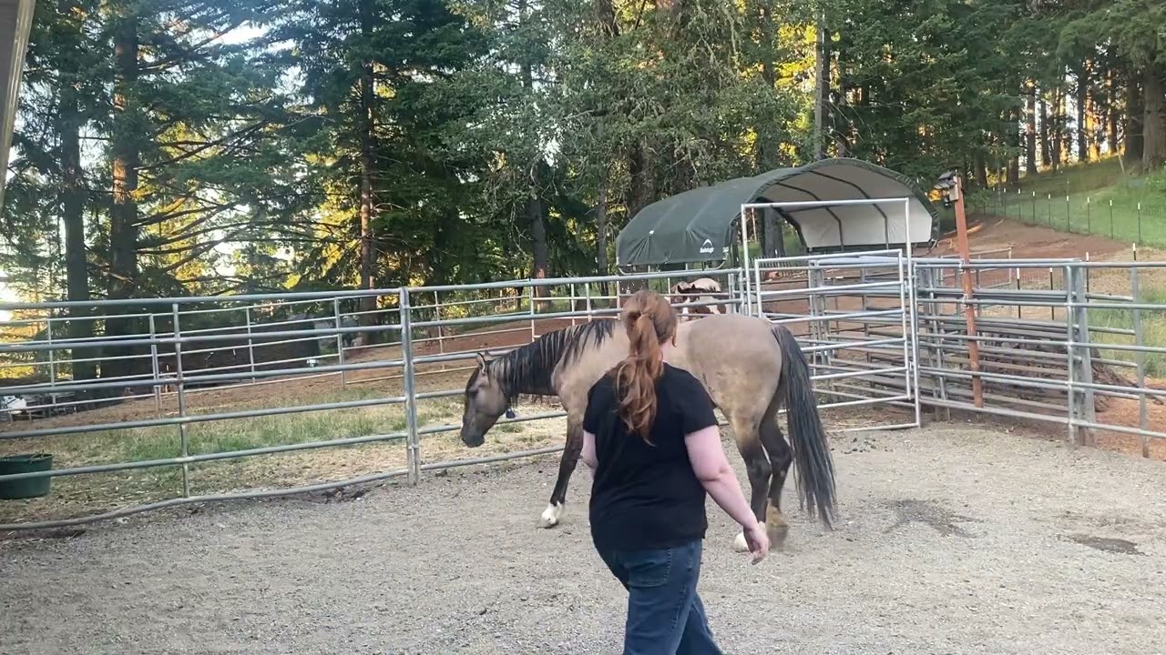 Kali first lesson