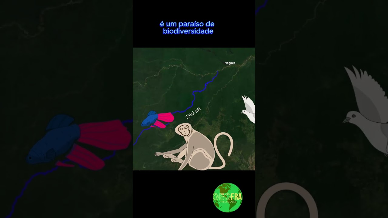 O rio Purus   legendado -  #geografia #historia #rioamazonas #ambiente #planetaterra