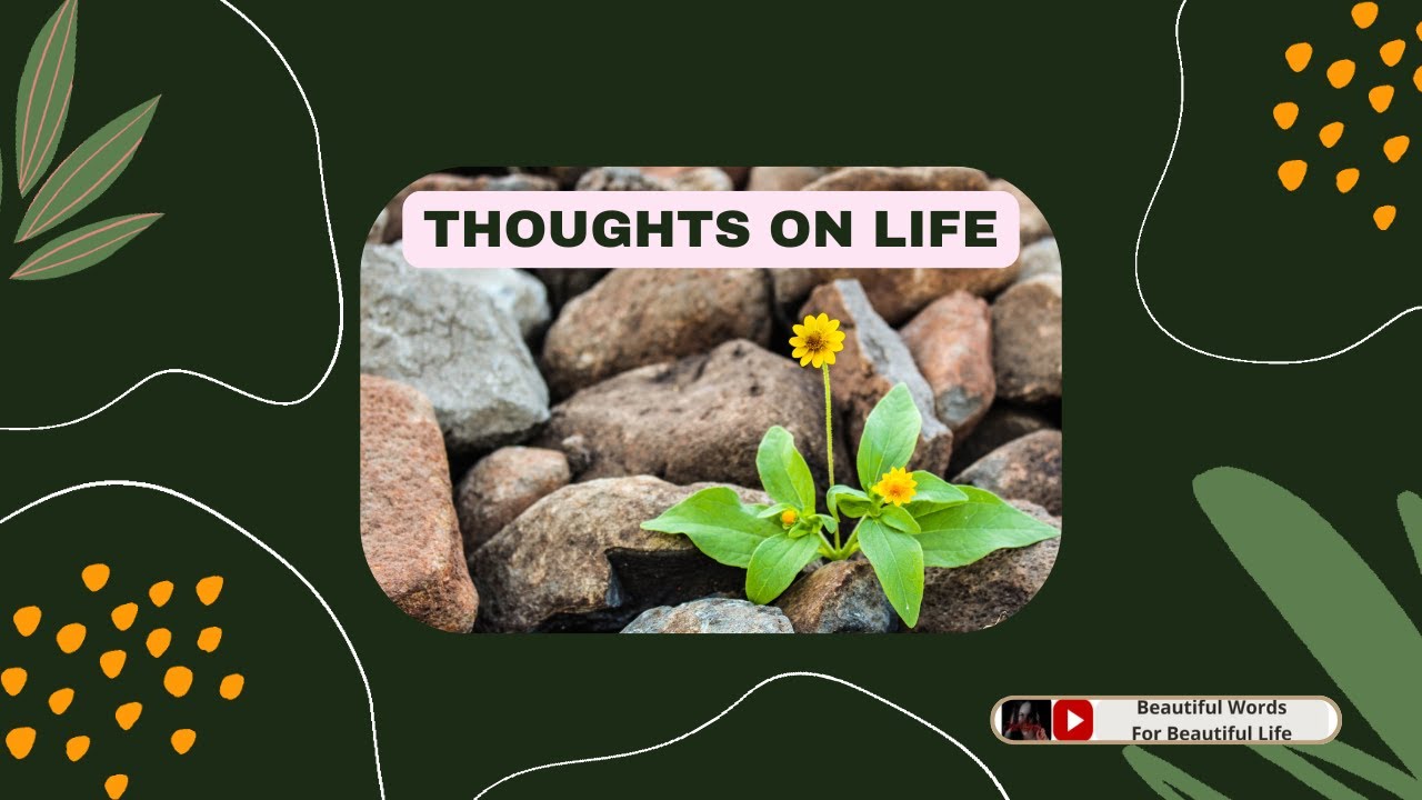 Thoughts For Life || Quotes || Beautiful Words For Beautiful Life || #youtubevideo #thoughtsforlife
