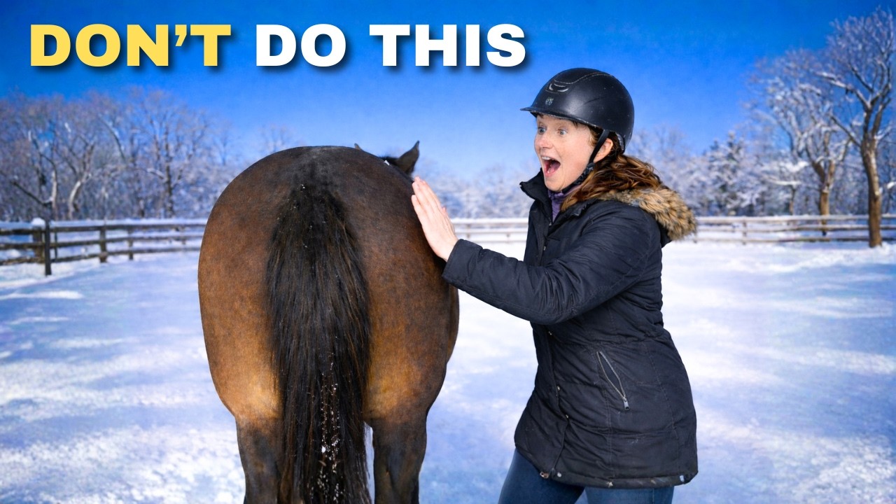 Top 10 Horse Safety Rules that Every Beginner Rider NEEDS to Know