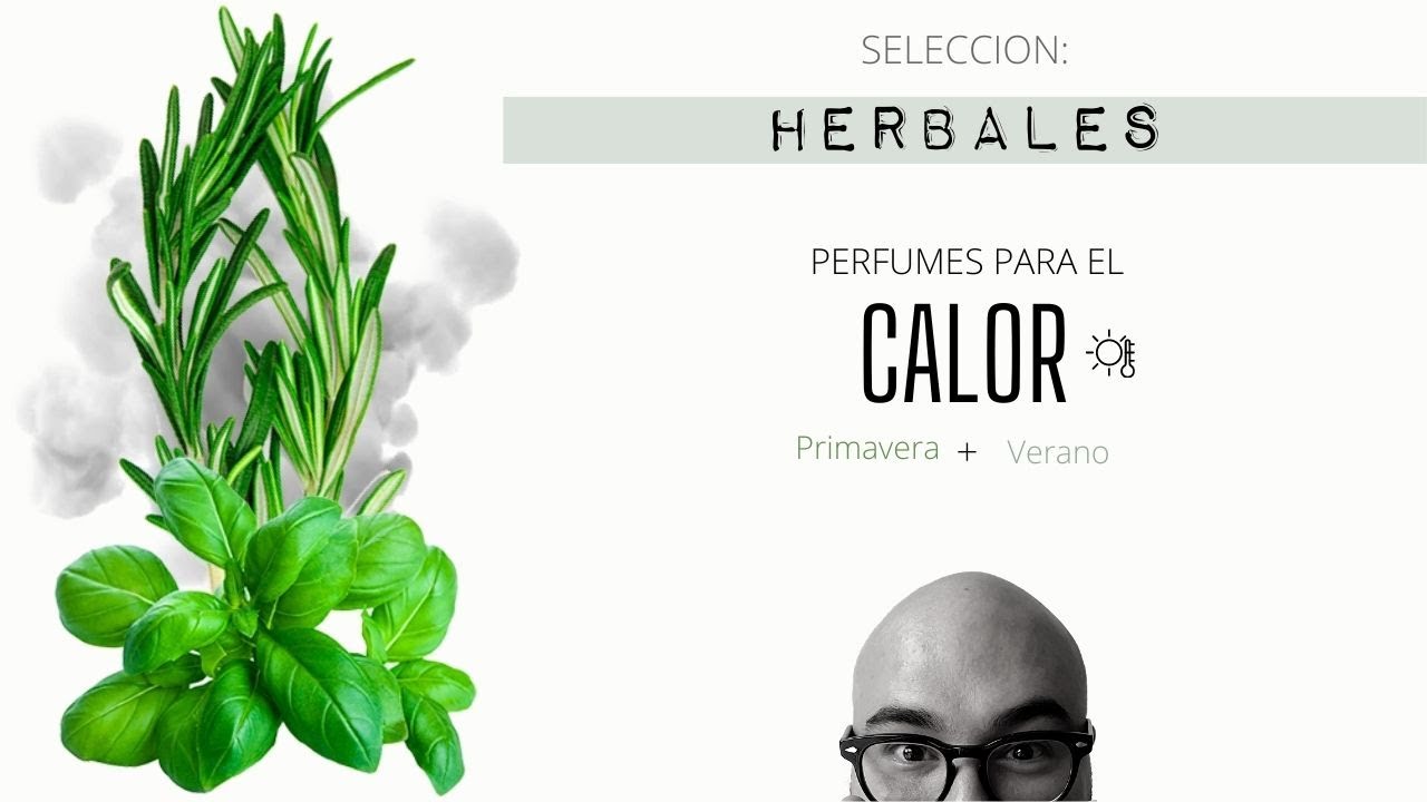 |Perfumes para el Calor: Herbales| My Scent Journey