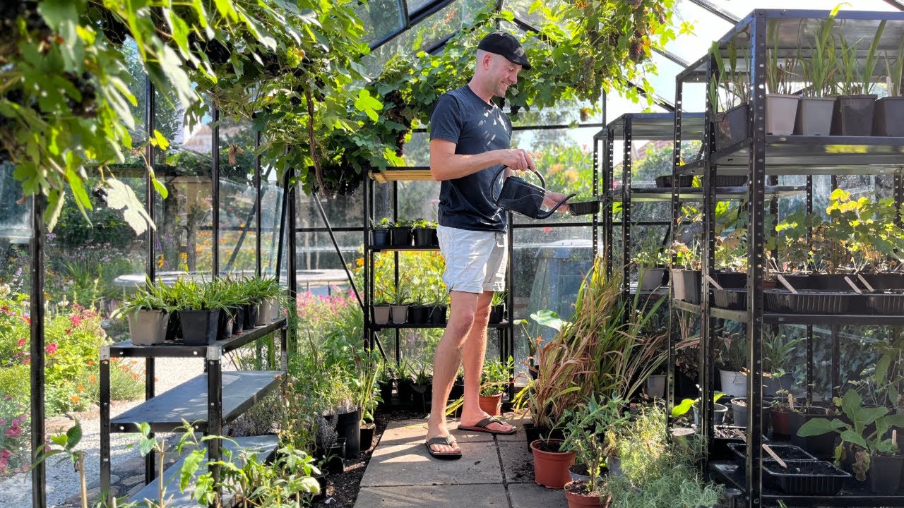 Greehouse Tour (ep.1) 🌱 | Autumn Sowing Seeds & Cuttings I Perennial Garden