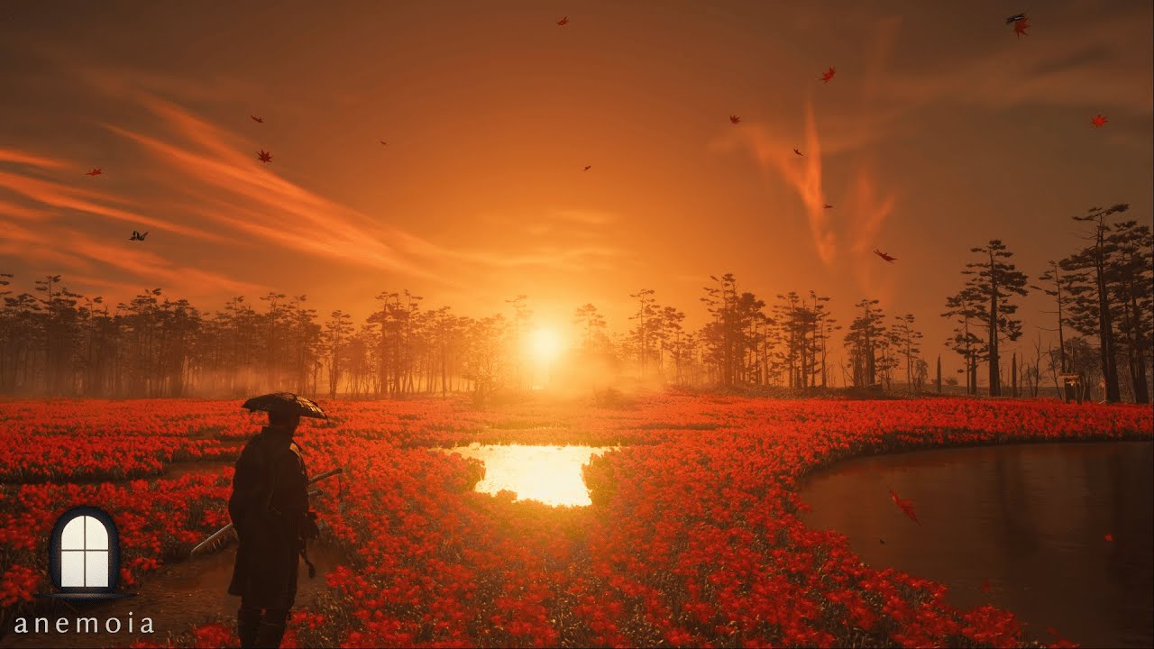 Ghost of Tsushima Ambience ⛩️ Field of Red Flowers + Japanese Lofi | Study, Focus, Relax | ANEMOIA