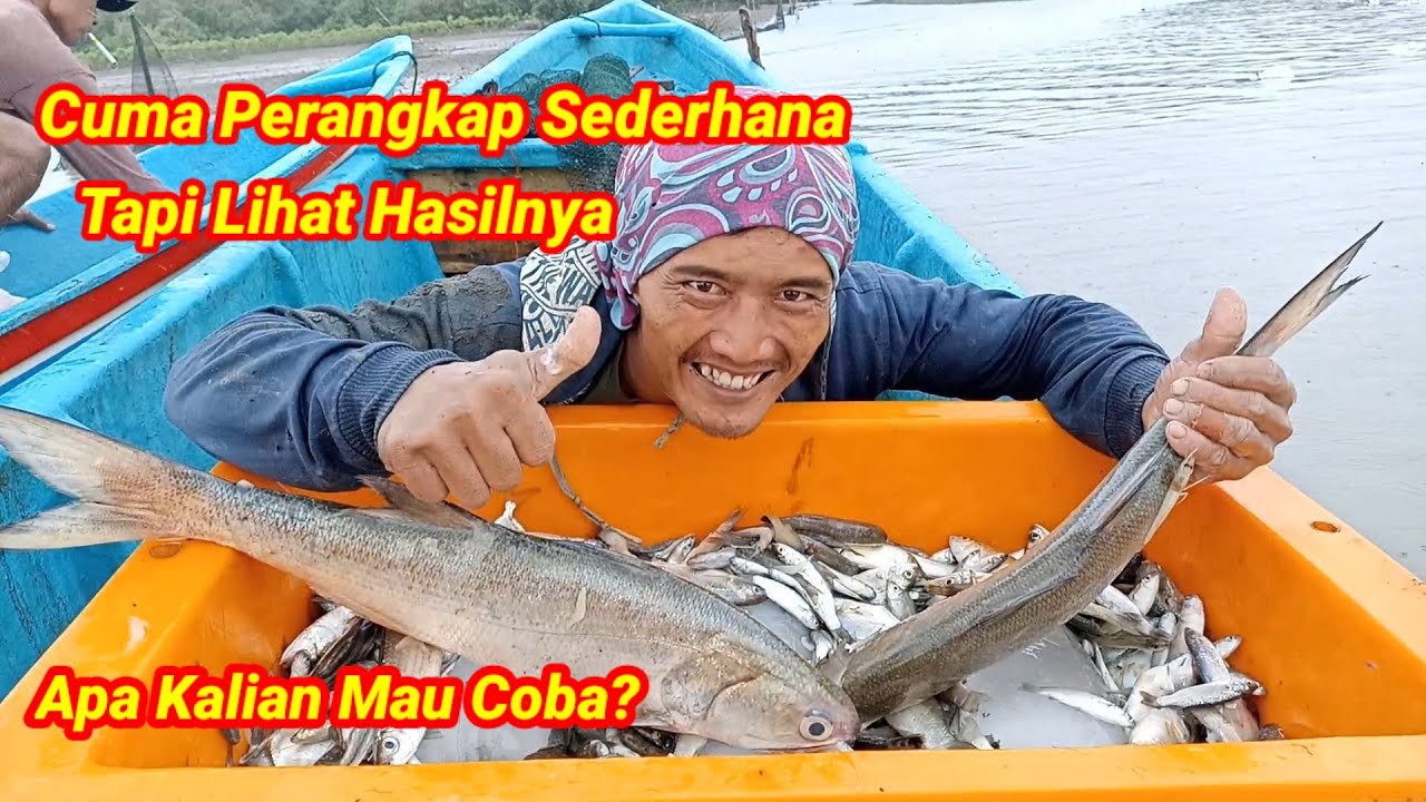 Perangkap Nyampe Bergetar!!! Pasang perangkap ikan tradisional di NUSAKAMBANGAN Lihat Hasilnta