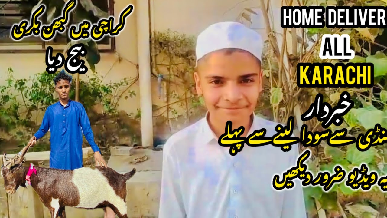 Sindh Goat Market Latest Update | Beware of fraud in the market 😱