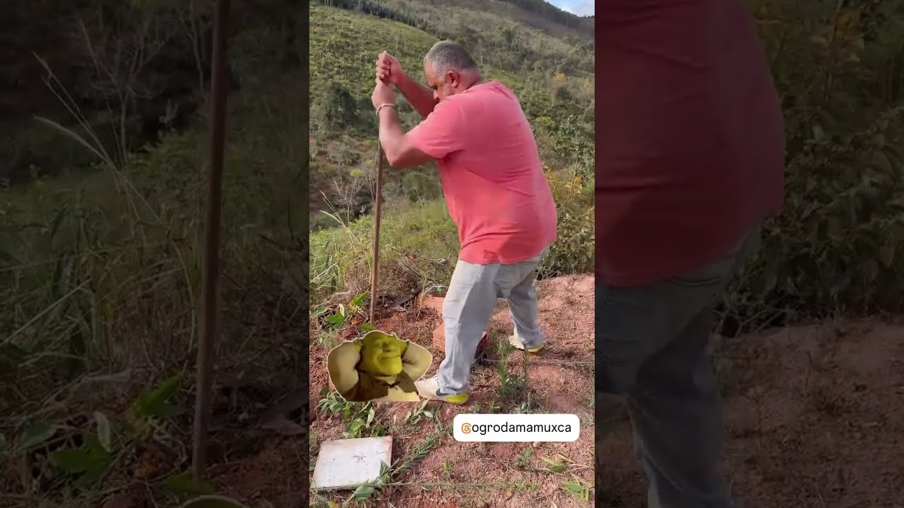 Acabou a paz, um dia na roça!☝️🤣🤣🤣🤣🤣🤣🤣🤣🤣