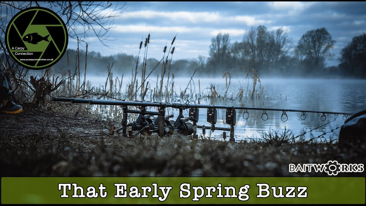 That Early Spring Buzz - A Carpy Connection - Carp Fishing