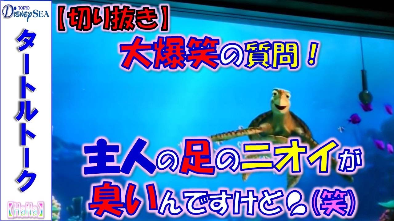 【切り抜き】 タートルトーク 「大爆笑の質問!!主人の足のニオイが臭いんですけど💦(笑)」【HaNa】