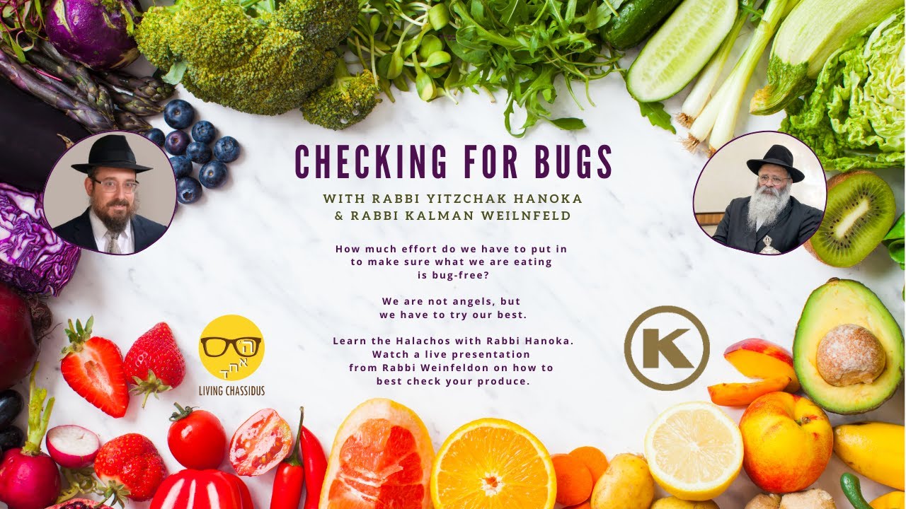 Checking for Bugs with Rabbi Hanoka and Rabbi Weinfeld