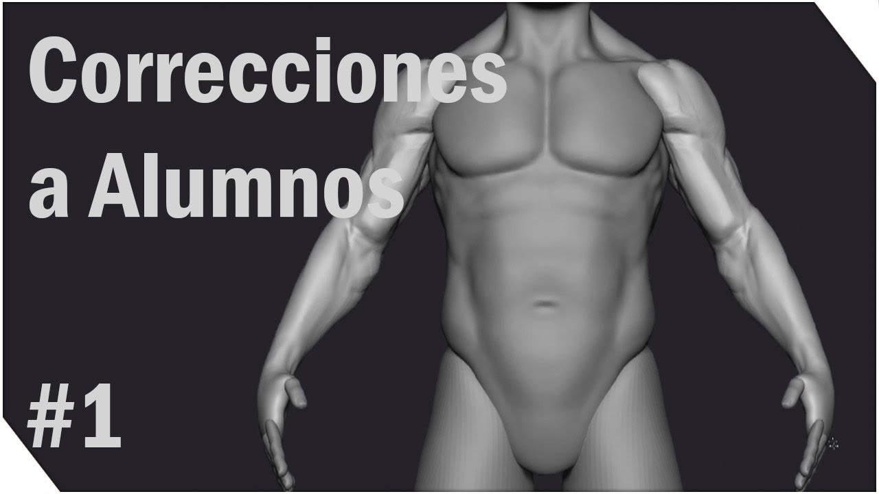 Correcciones a alumnos (Zbrush) #1 | Anatomía del Brazo
