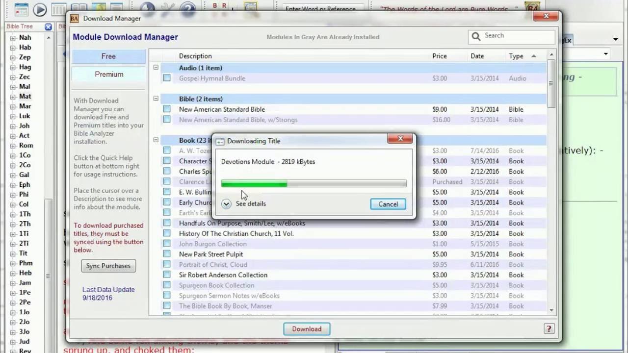 Bible Analyzer - Using Module Download Manager