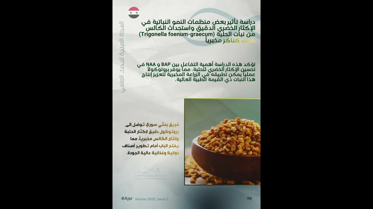 أجسر Volume 6, Issue 2, 2025