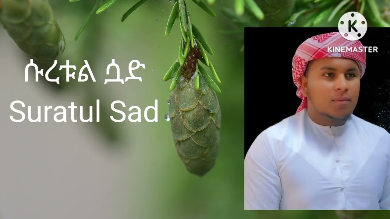 ሱረቱ ሳድ ቃሪ ተውፊቅ አል ሃበሺ Suratul Sad Qaari Tawufiq Al Habashi