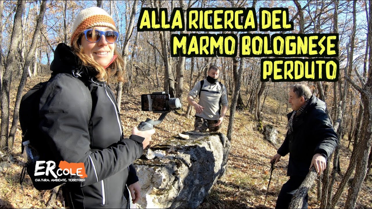 Lo abbiamo trovato! E' il marmo di Bologna che un tempo si estraeva in Appennino