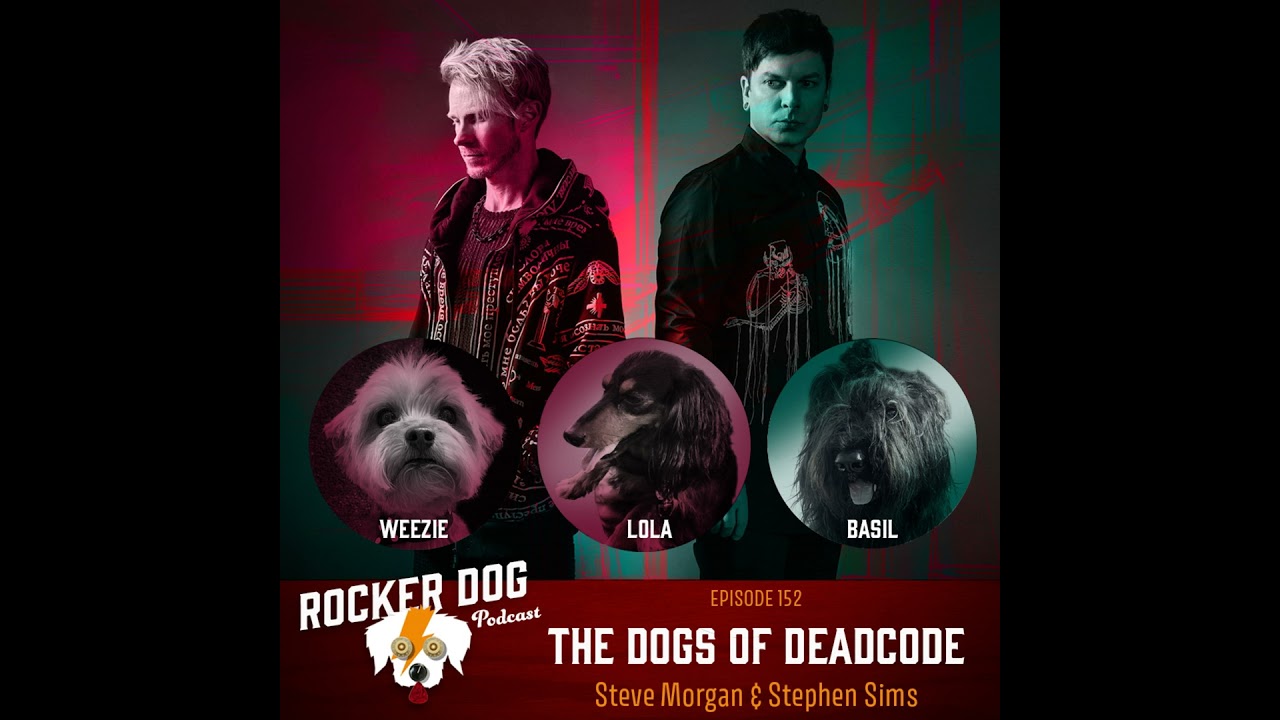 Steve Morgan & Stephen Sims - Deadcode