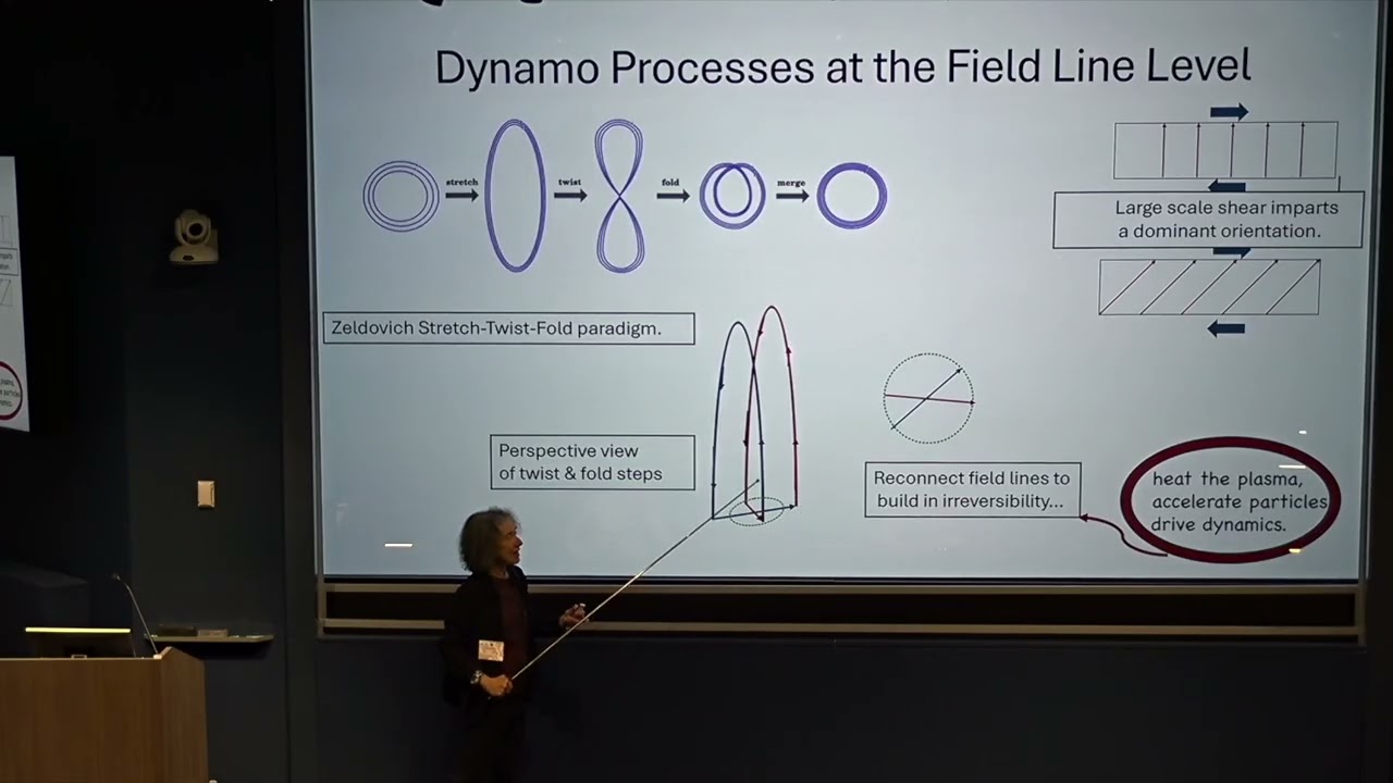 Ellen Zweibel: Magnetized Flow around Black Holes (February 27, 2026)