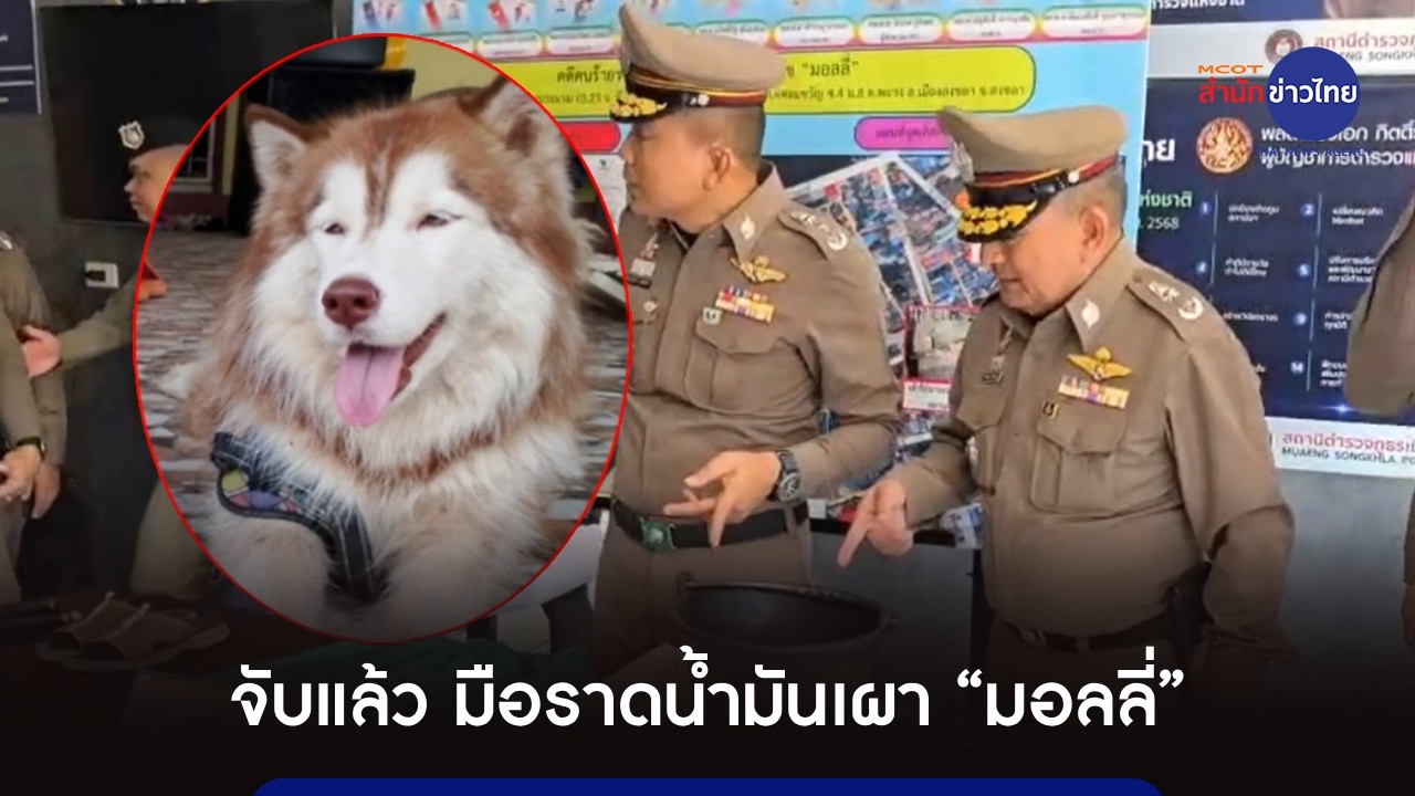 จับแล้ว มือราดน้ำมันจุดไฟเผา “มอลลี่”