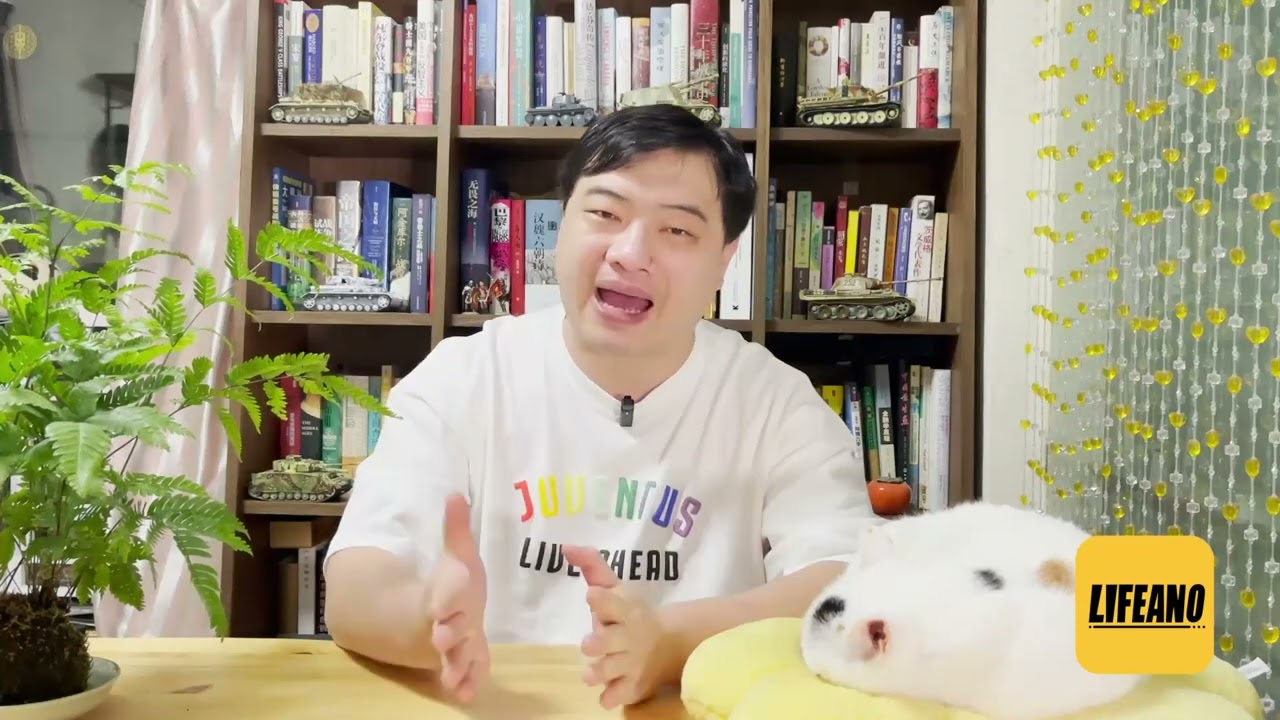 三喵聊精确制导炸弹：俄美空军的差距就在于此 #Lifeano漫聊 220423