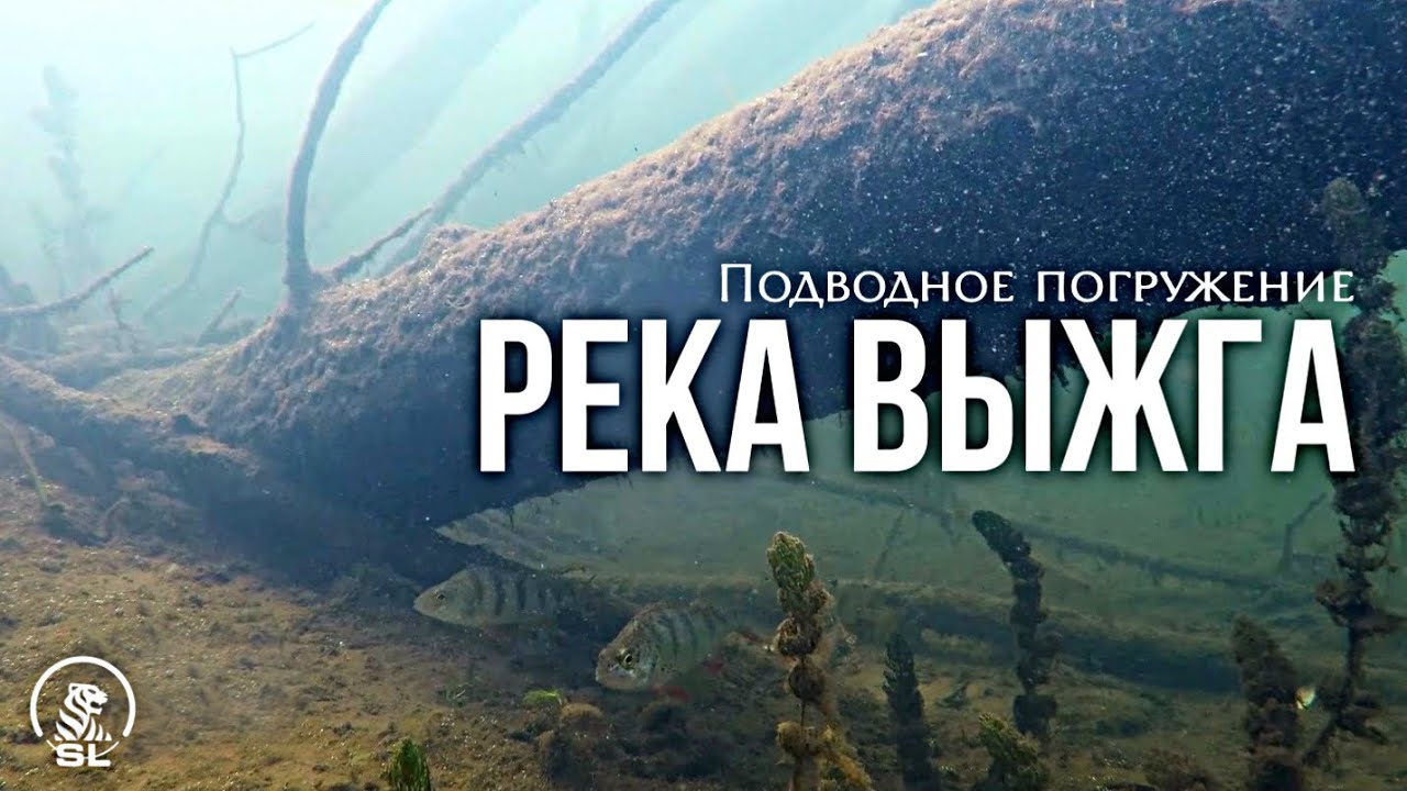 Река Выжга , Владимирская область 