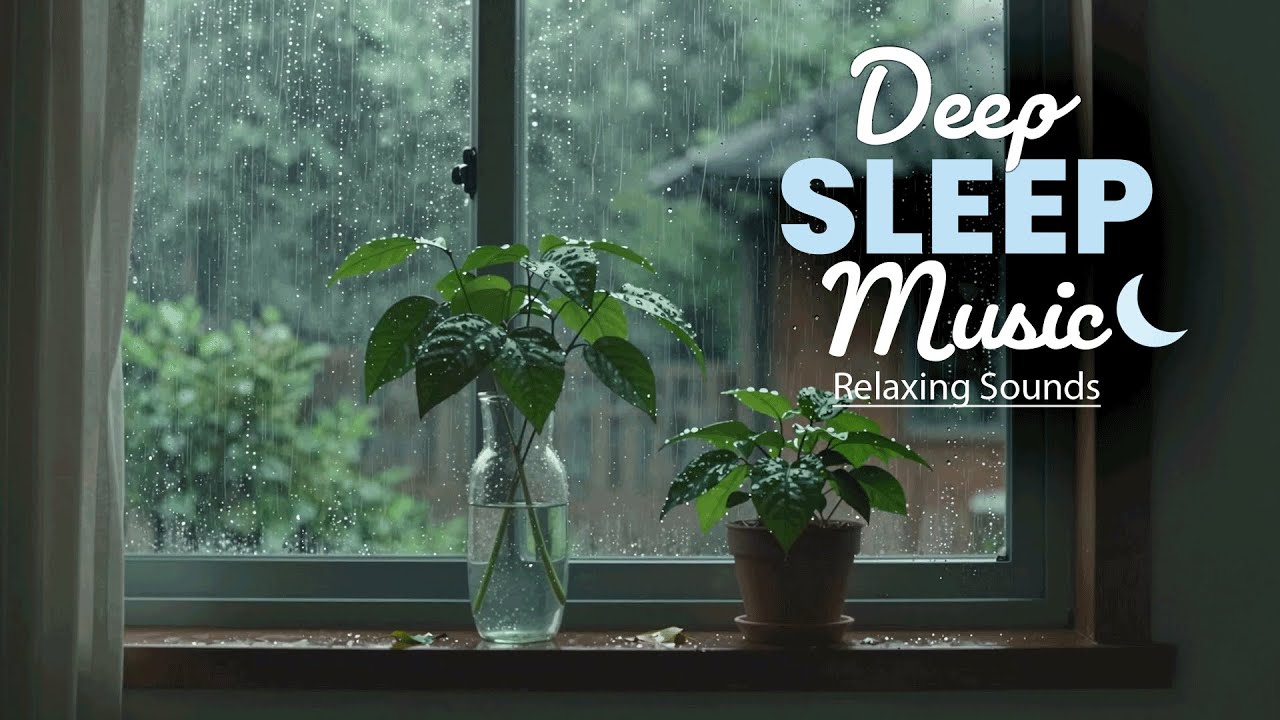 Lo-Fi for Deep Sleep 🍃 | Embrace the Silence