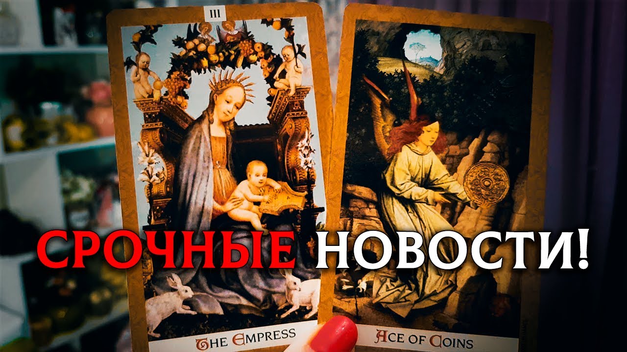 СРОЧНАЯ НОВОСТЬ! Как Высшие Силы видят вашу ситуацию?