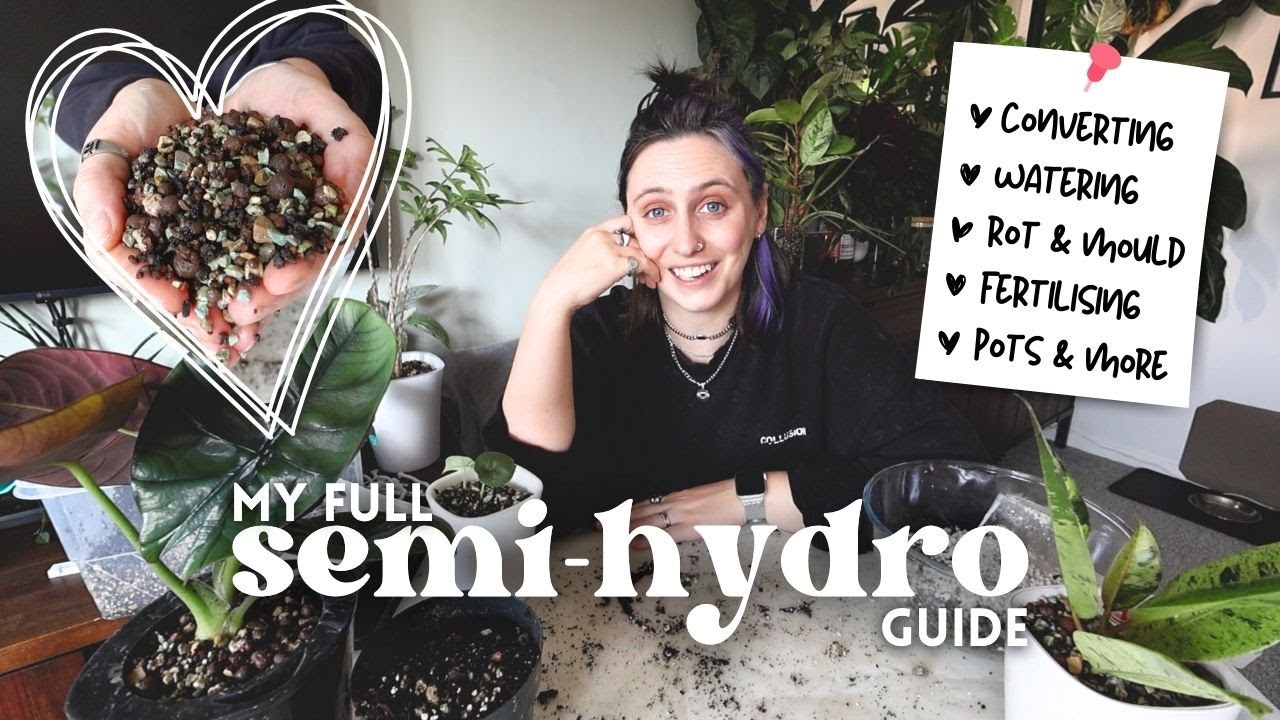 The Beginner’s Guide to Semi-Hydroponics 🌿💧 Is It Right for Your Plants?