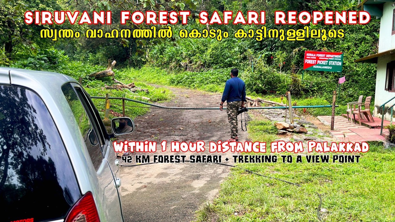 Siruvani Forest Safari reopened ! A budget forest safari and trekking option near Palakkad