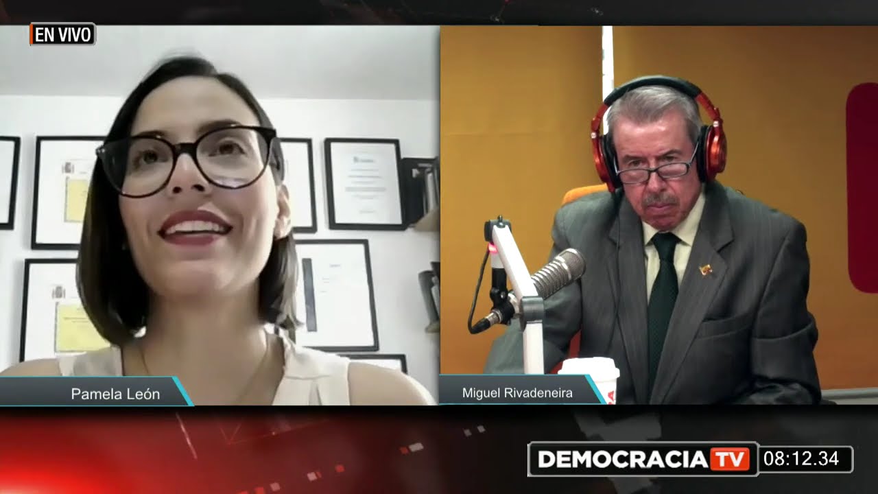 La Crisis De Los Partidos Pol&iacute;ticos.