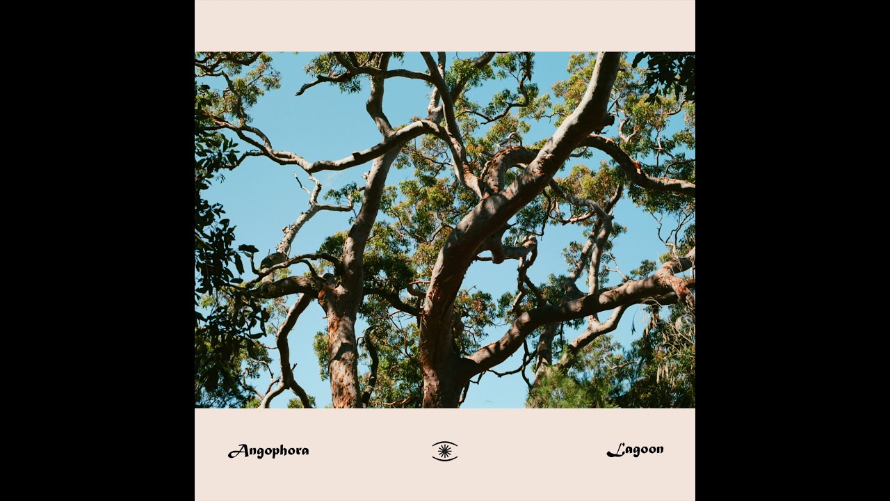 Angophora - Lagoon - s0522