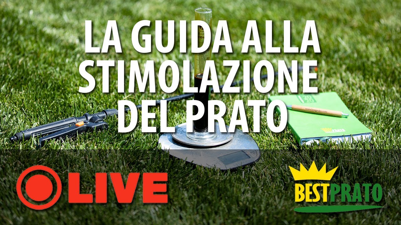 LA GUIDA COMPLETA ALLA BIOSTIMOLAZIONE DEL PRATO