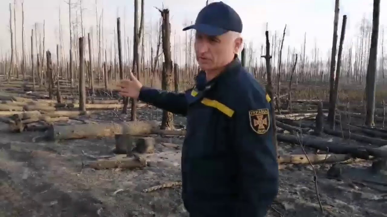 Ліквідації лісових пожеж на території Зони відчуження безумовного (обов’язкового) відселення