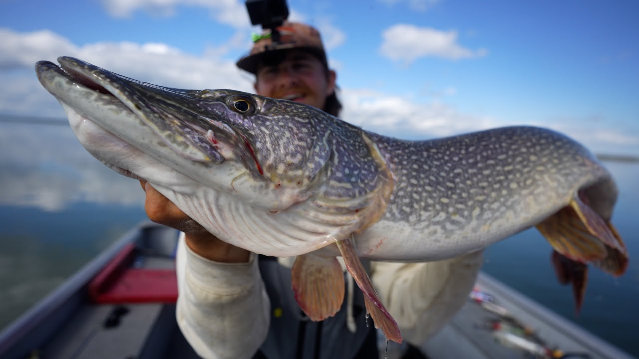 Fishing in Pike Paradise!
