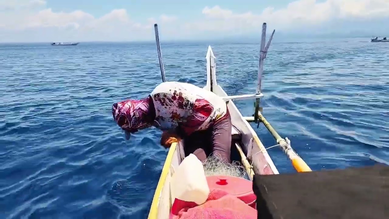 Mendapat HARTA KARUN LAUT! Ikan Termahal di Dunia Tertangkap Jaring Nelayan Tua.