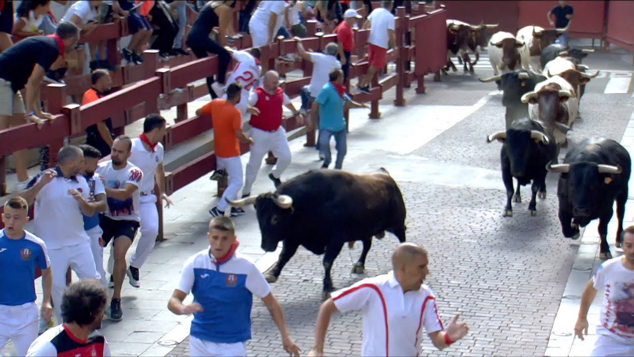 Toros de la Cardenilla para un tercer encierro veloz y algo accidentado