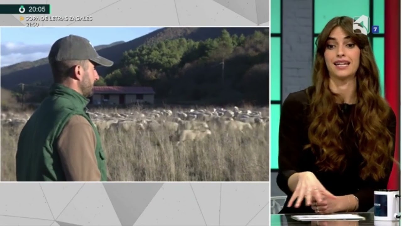 El futuro del pastoreo en Aragón: relevo generacional, innovación y territorio