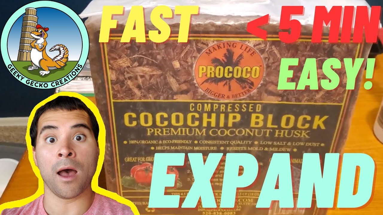 How to EXPAND pro COCO | fast | EASY | 5 Minutes! (2021)